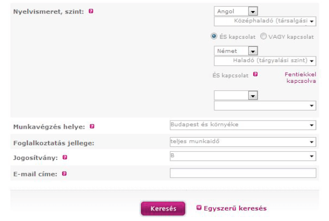 Munkáltatói kereső oldal 2